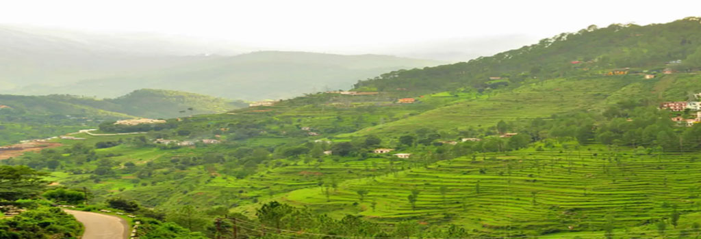almora district uttarakhand